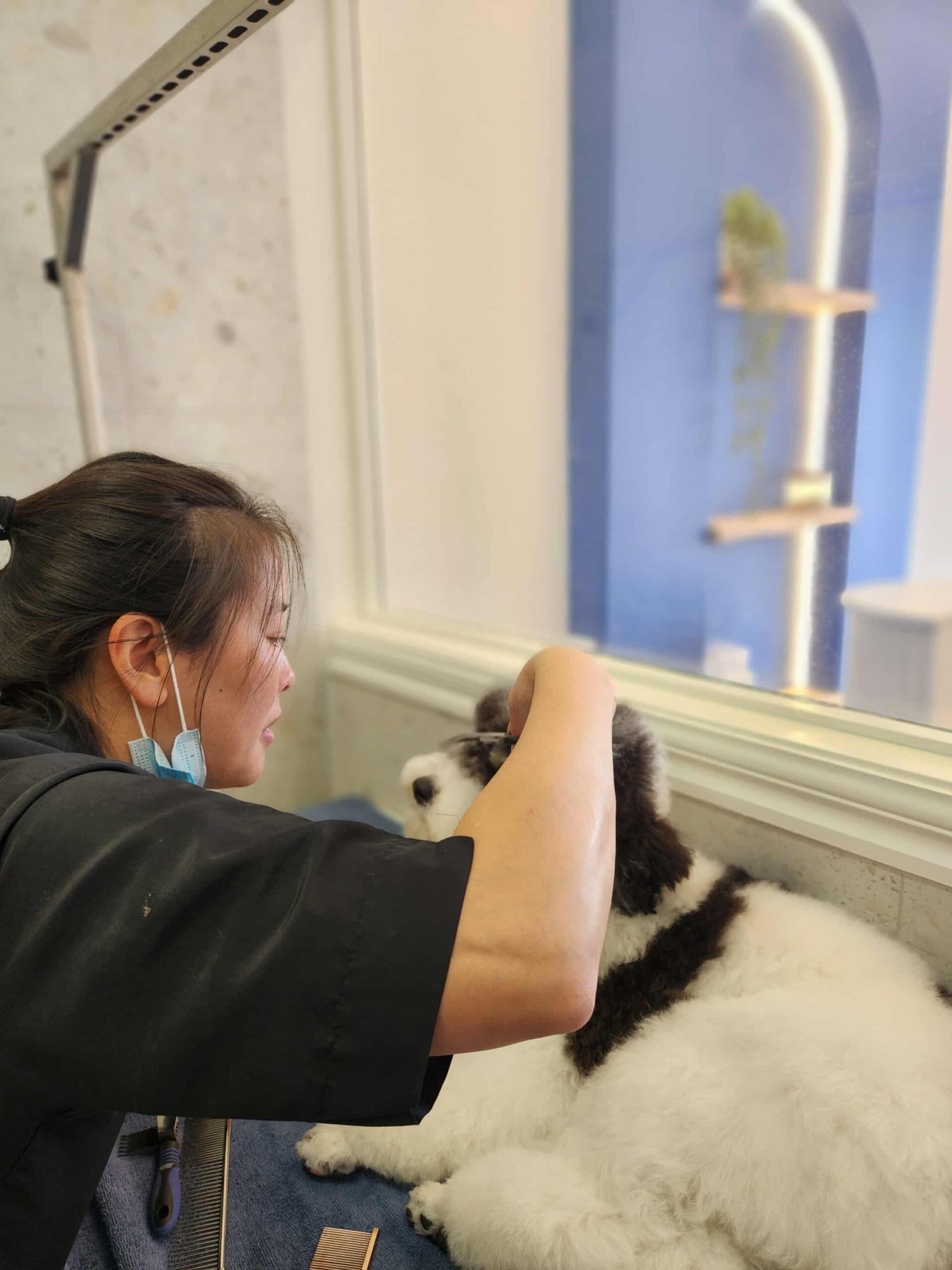 Att.Km025lUTwgHaqQV0X6a4fMdU6zXnkJwUr7UFO5KlBWc Scaled