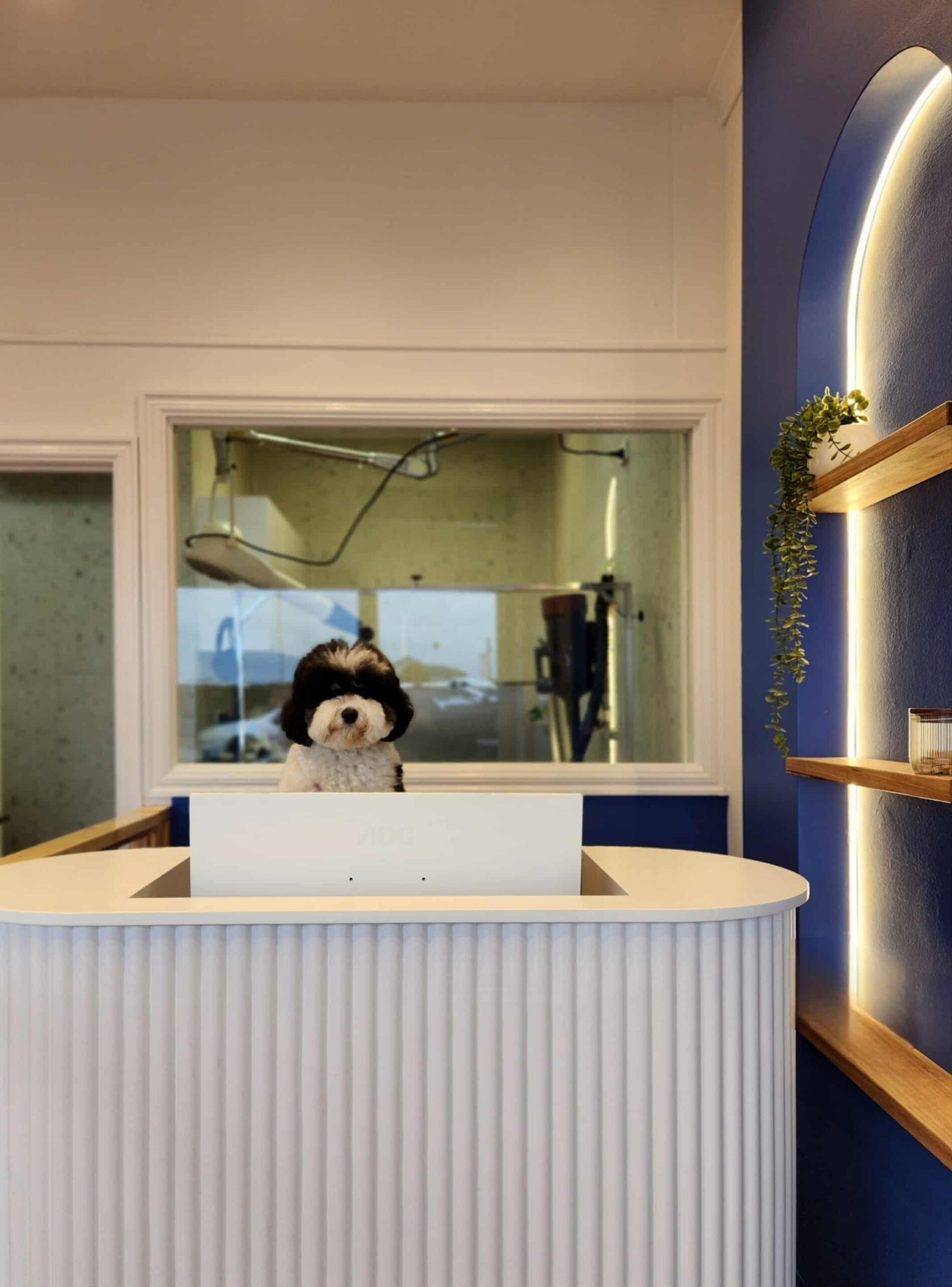 Att.Sq3jkv3fe6s8xYvlOsdRseipA4dJUmaciqA6A9xVXe8 Scaled